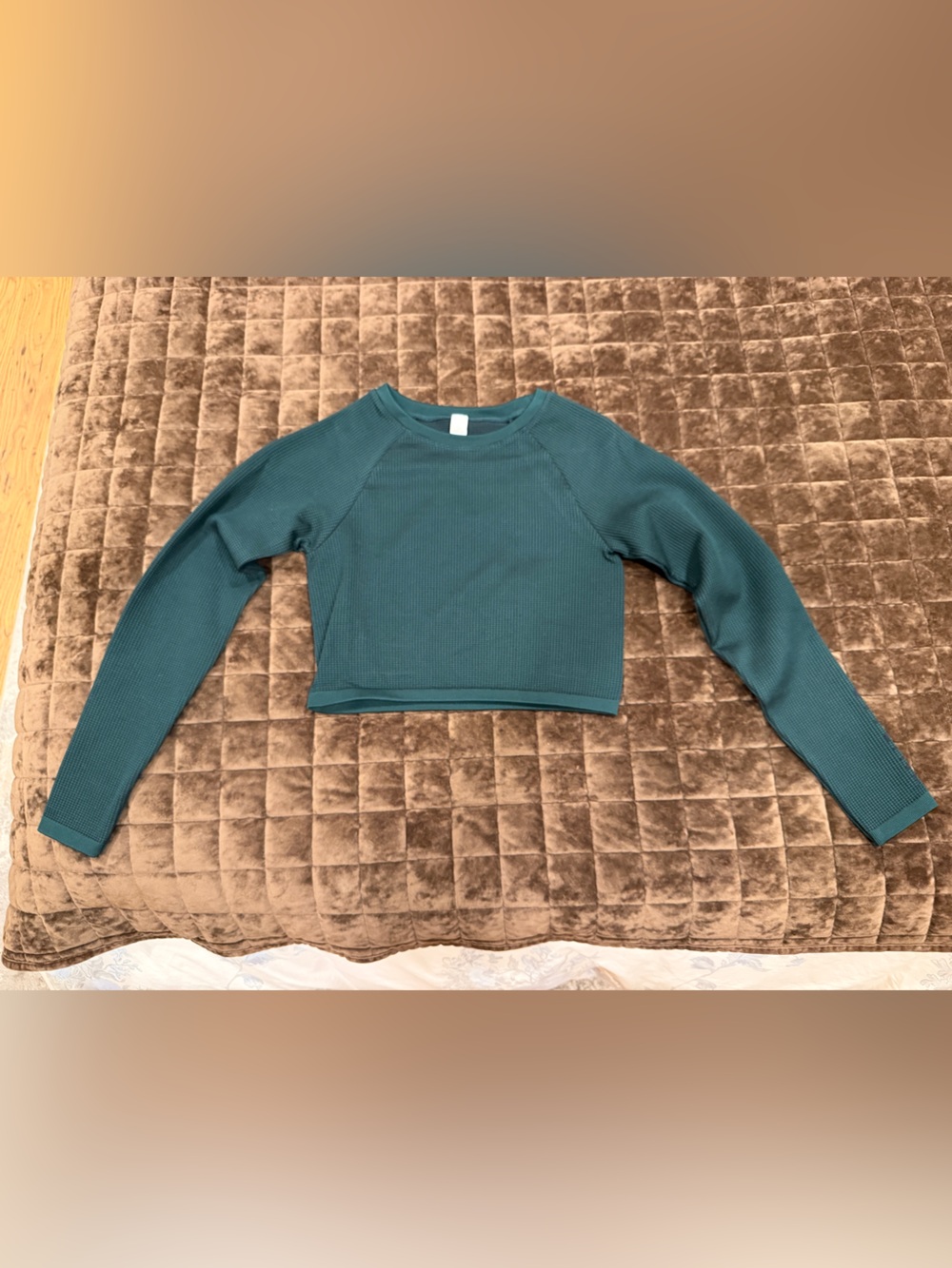 aerie Cropped Long-Sleeve Top